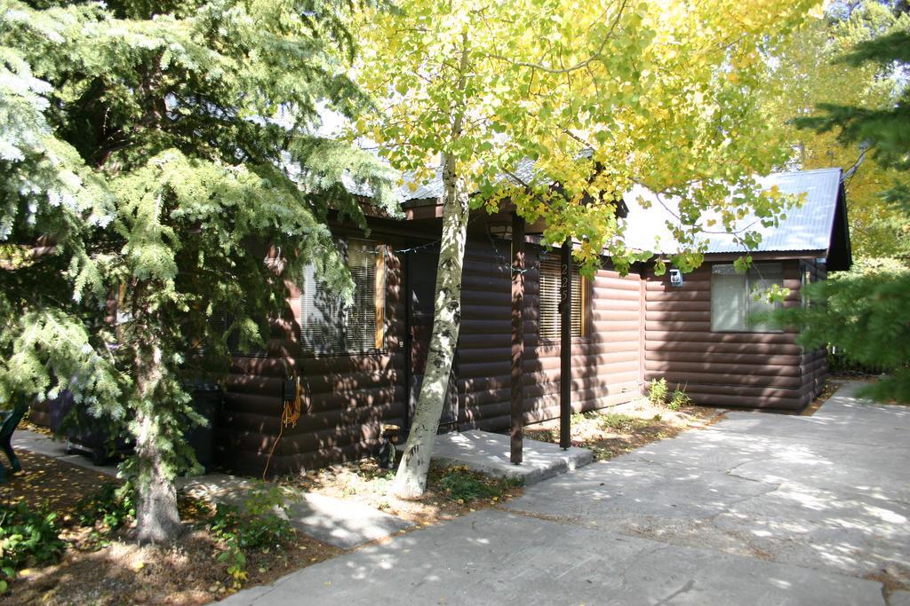 Yellowstone Wildlife Cabins West Yellowstone Bagian luar foto