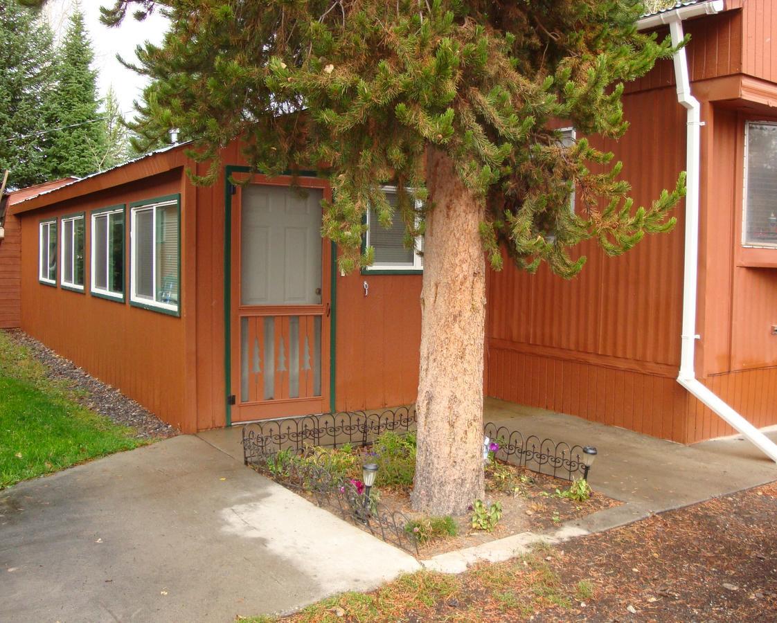 Yellowstone Wildlife Cabins West Yellowstone Bagian luar foto